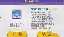 新风之翼爆料视频大全